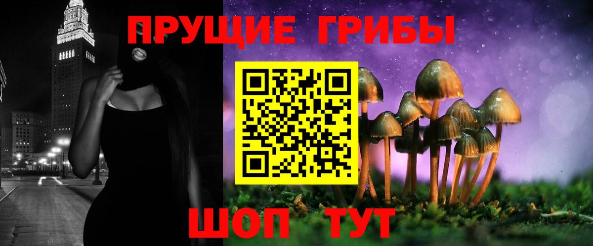 Псилоцибиновые грибы GOLDEN TEACHER  Вход с VPN  Раменское 